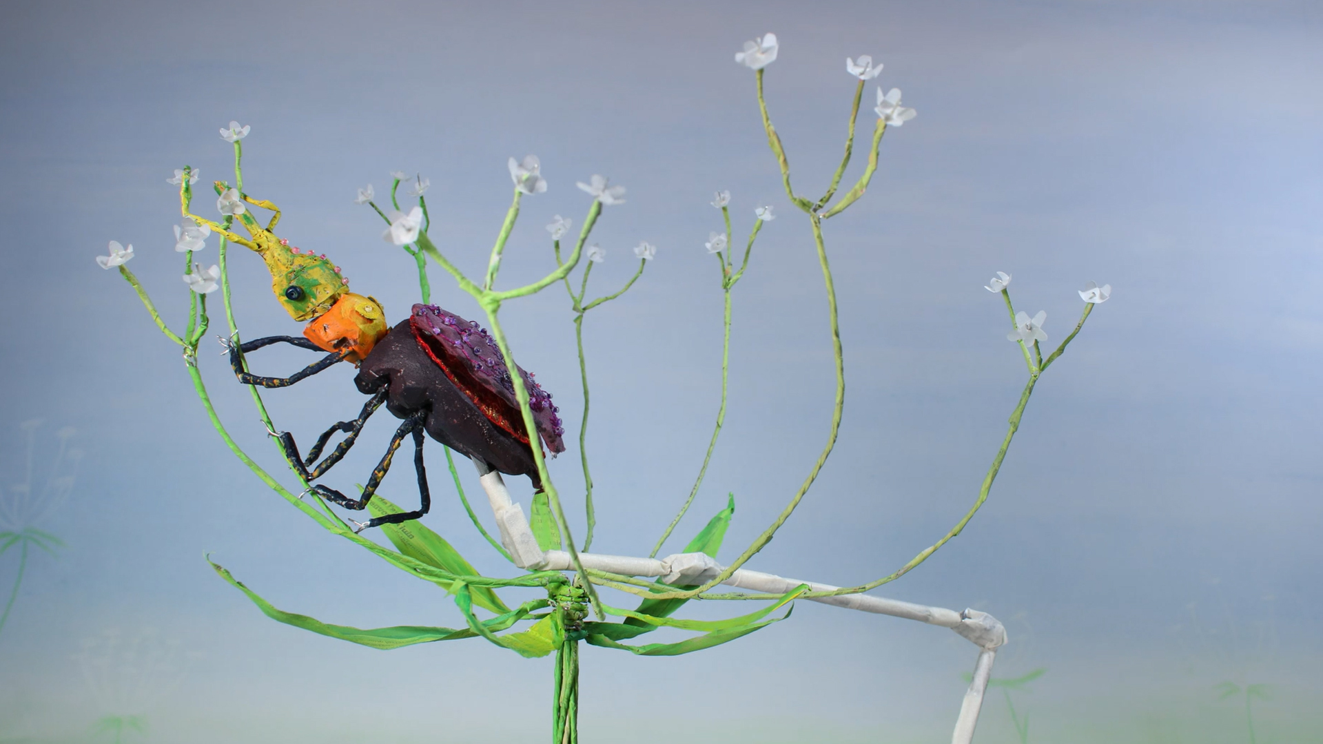 Maison du charançon