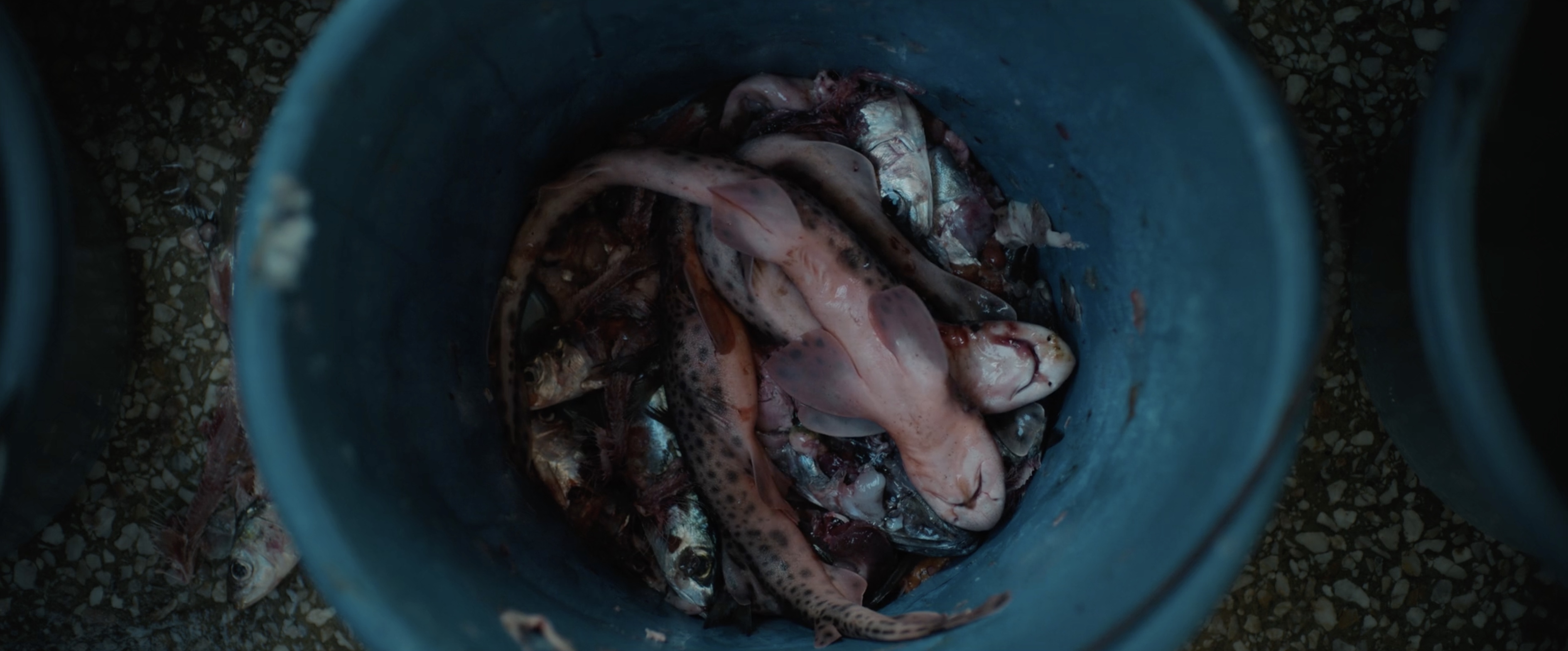 Beneath a Mother's Feet