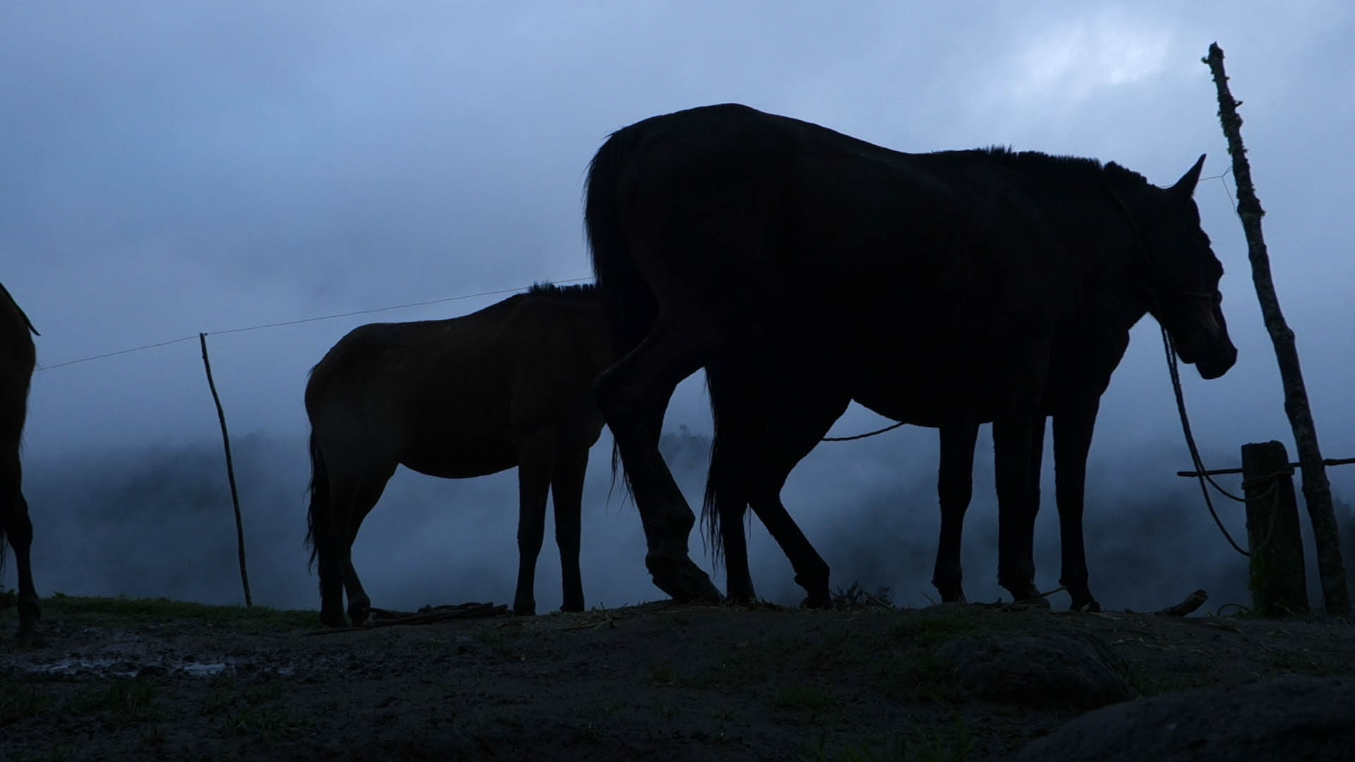 Œufs aussi ont un angle