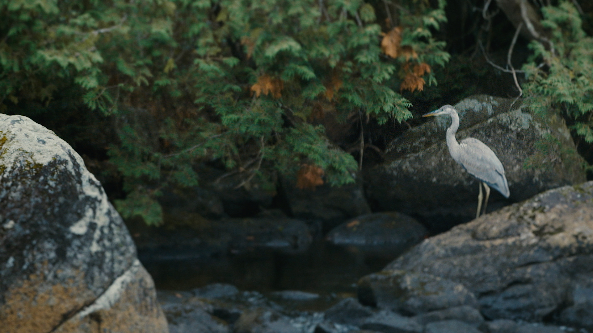 Ce que la rivière m'a appris