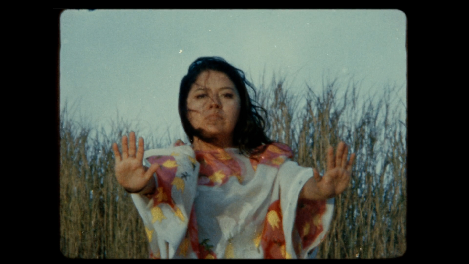 Nunca fuimos un desierto