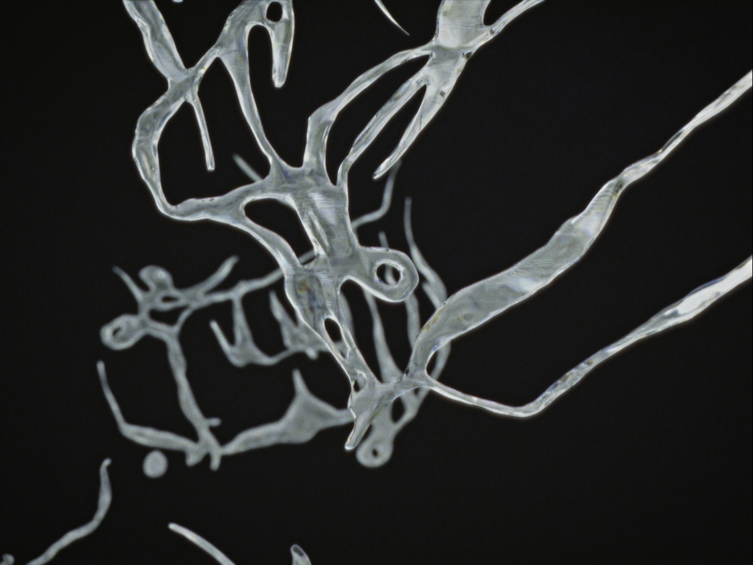 Disque de poussière