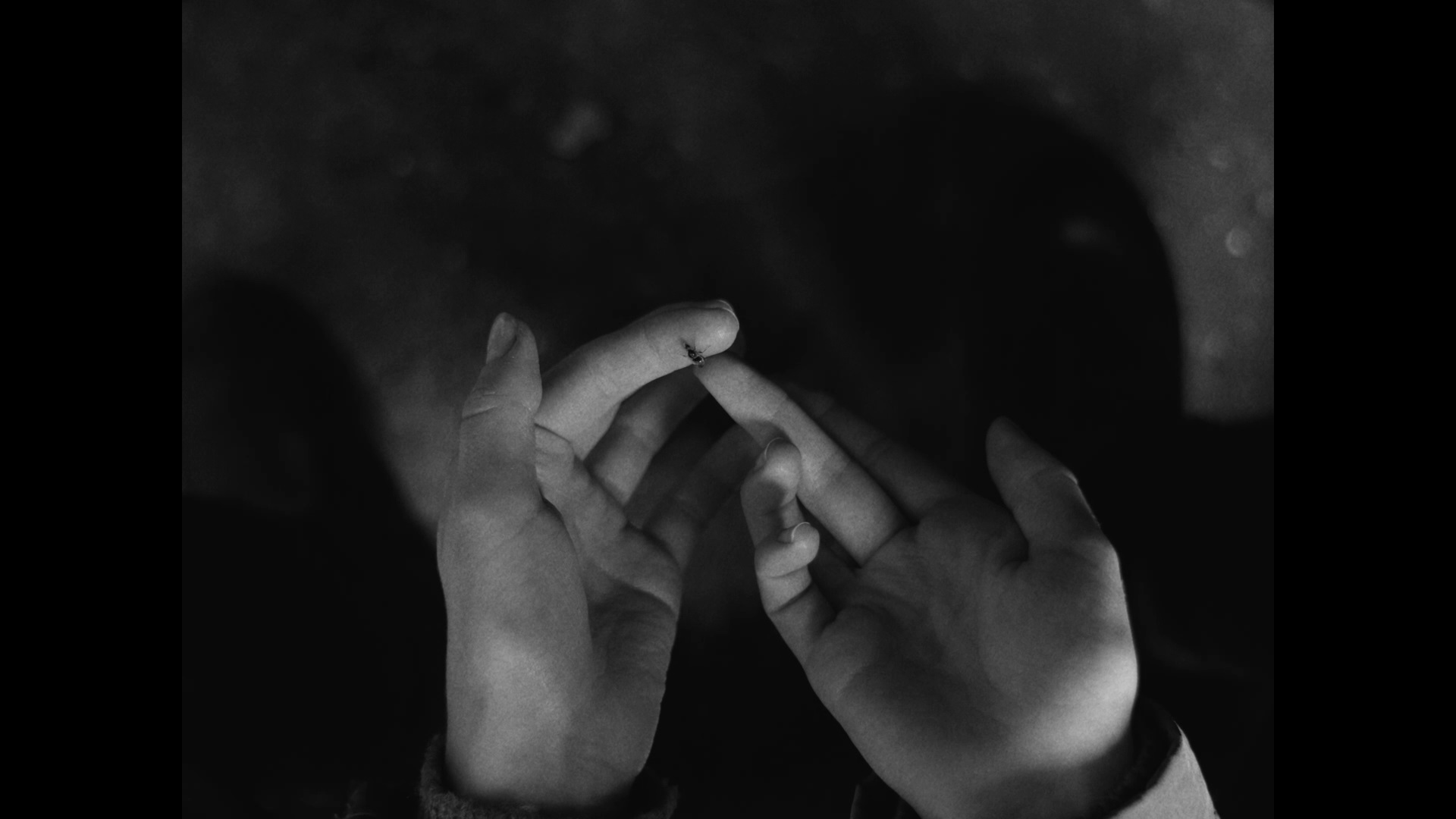 Na niebie i na ziemi