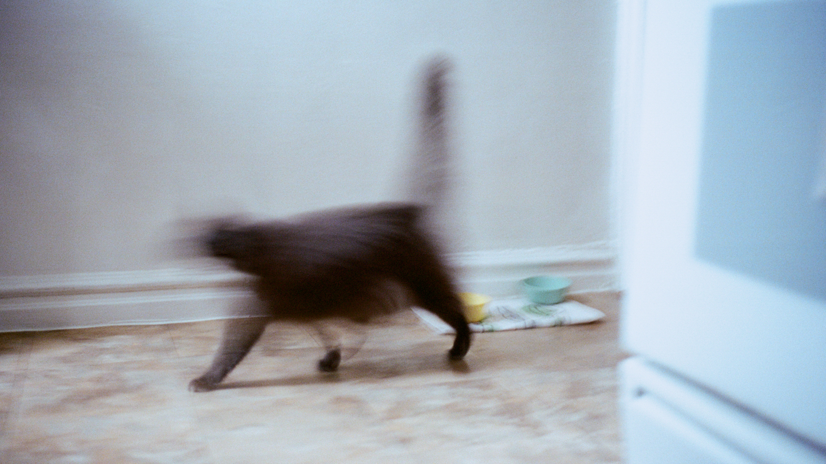 Yesterday, I Dreamt About