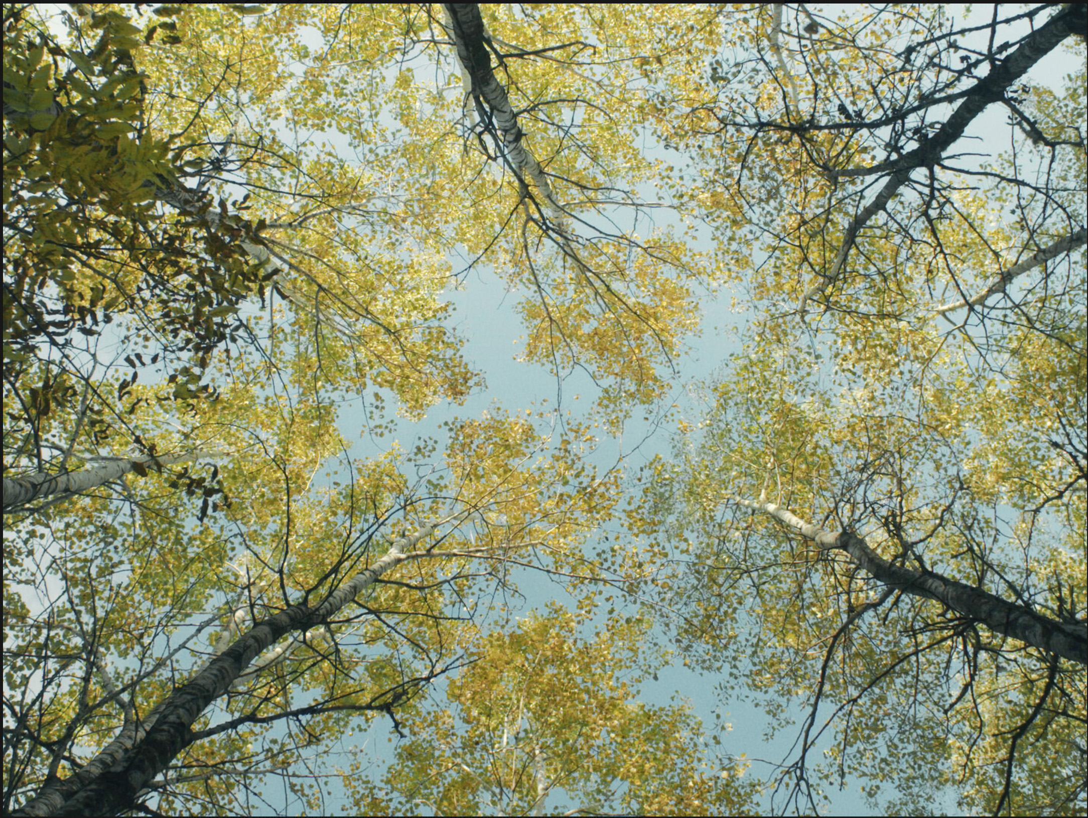 From The Story of Elin