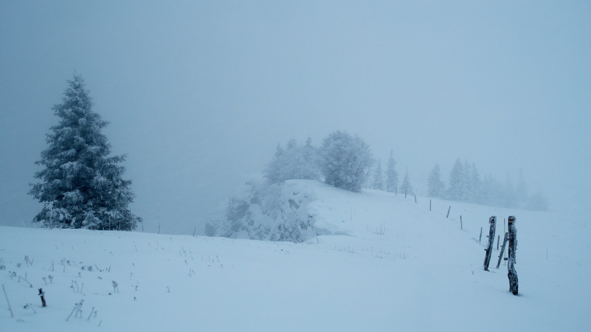 Mémoires d'une montagne
