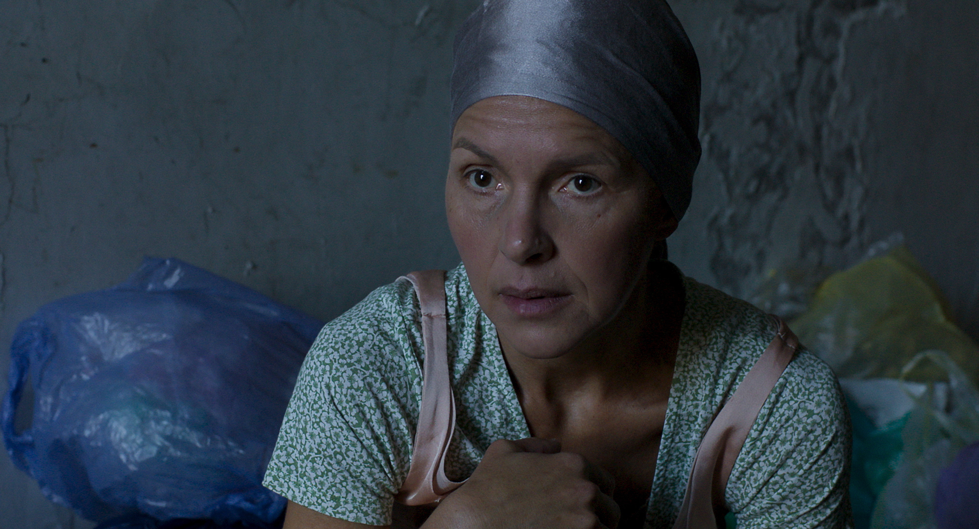 Francis látogatása