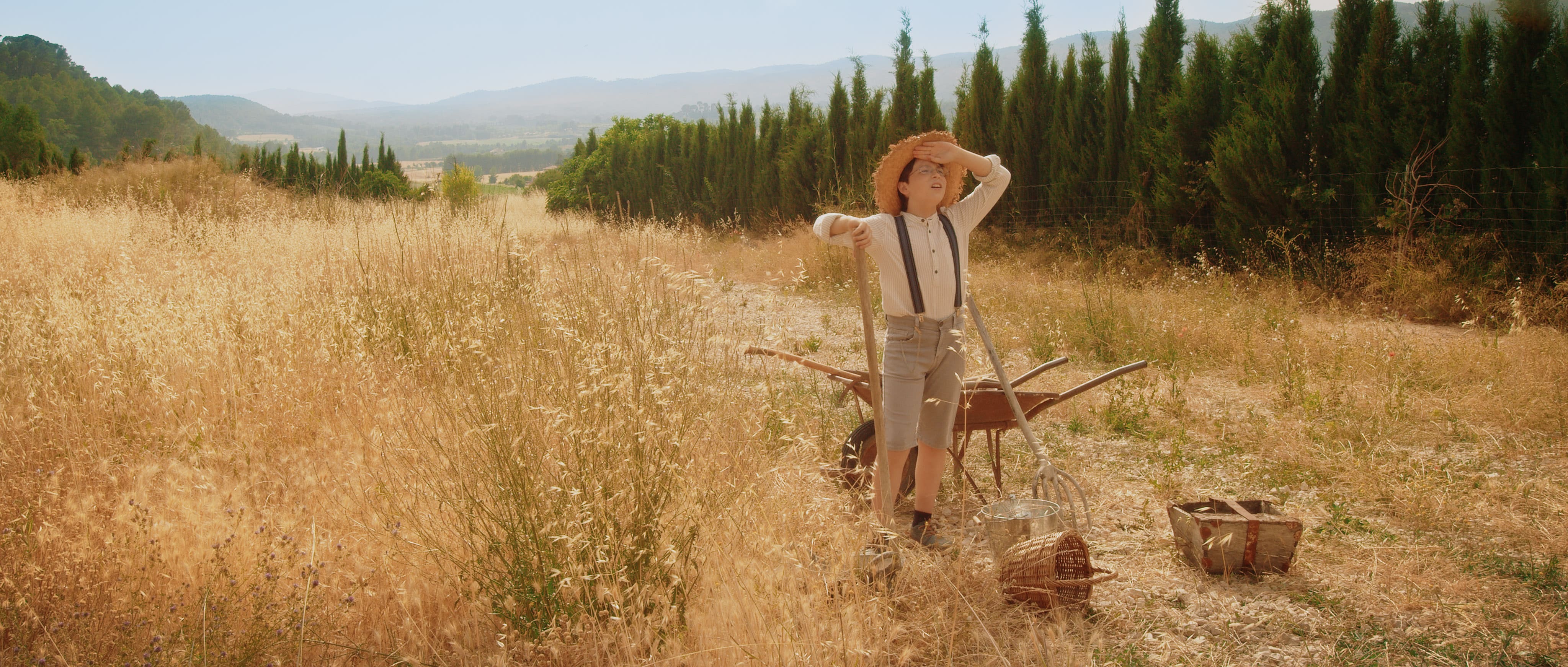 Despertar del halcón