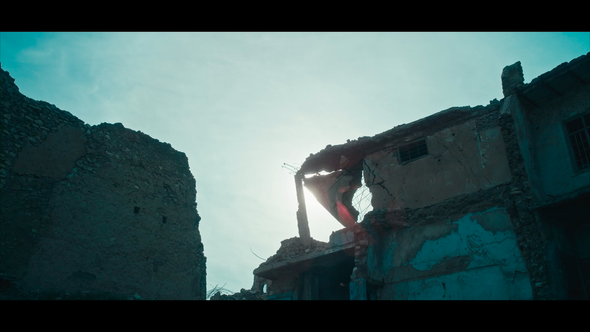 Orange Flavored Love