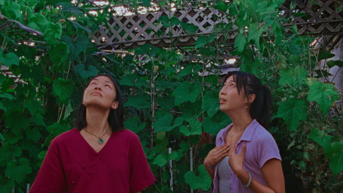 Roots That Reach Toward the Sky