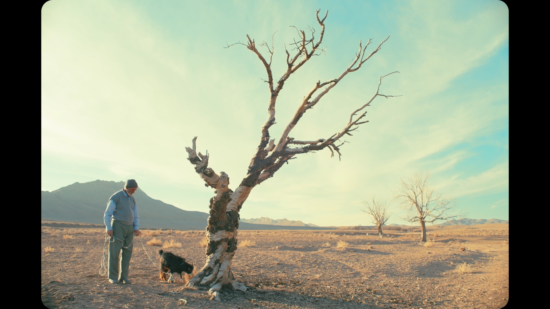 Hame chiz be nazare aghaye kaf bastegi darad