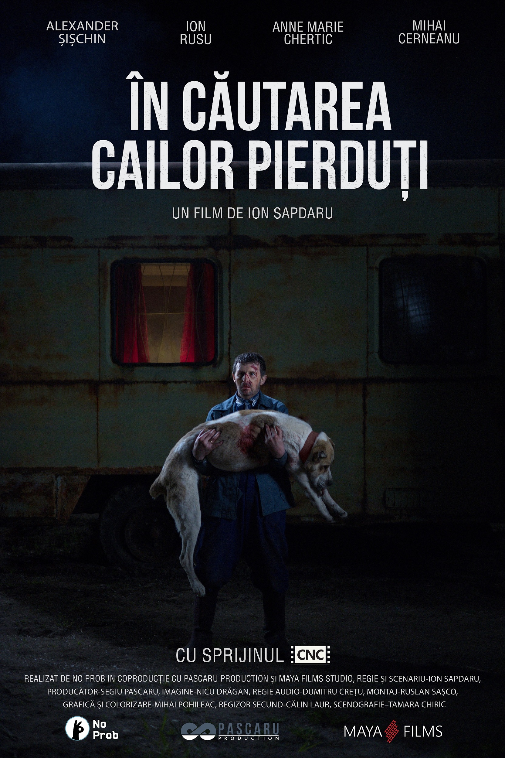 In Cautarea Cailor Pierduti