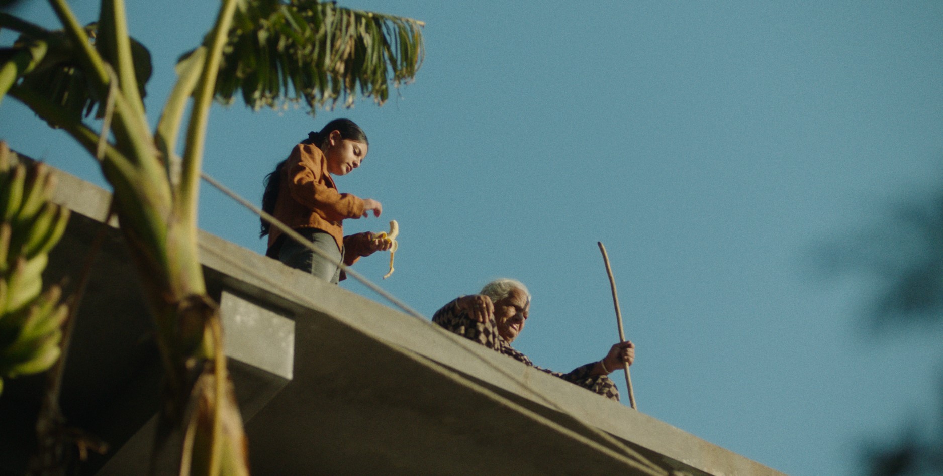 Whispers of a Qareen