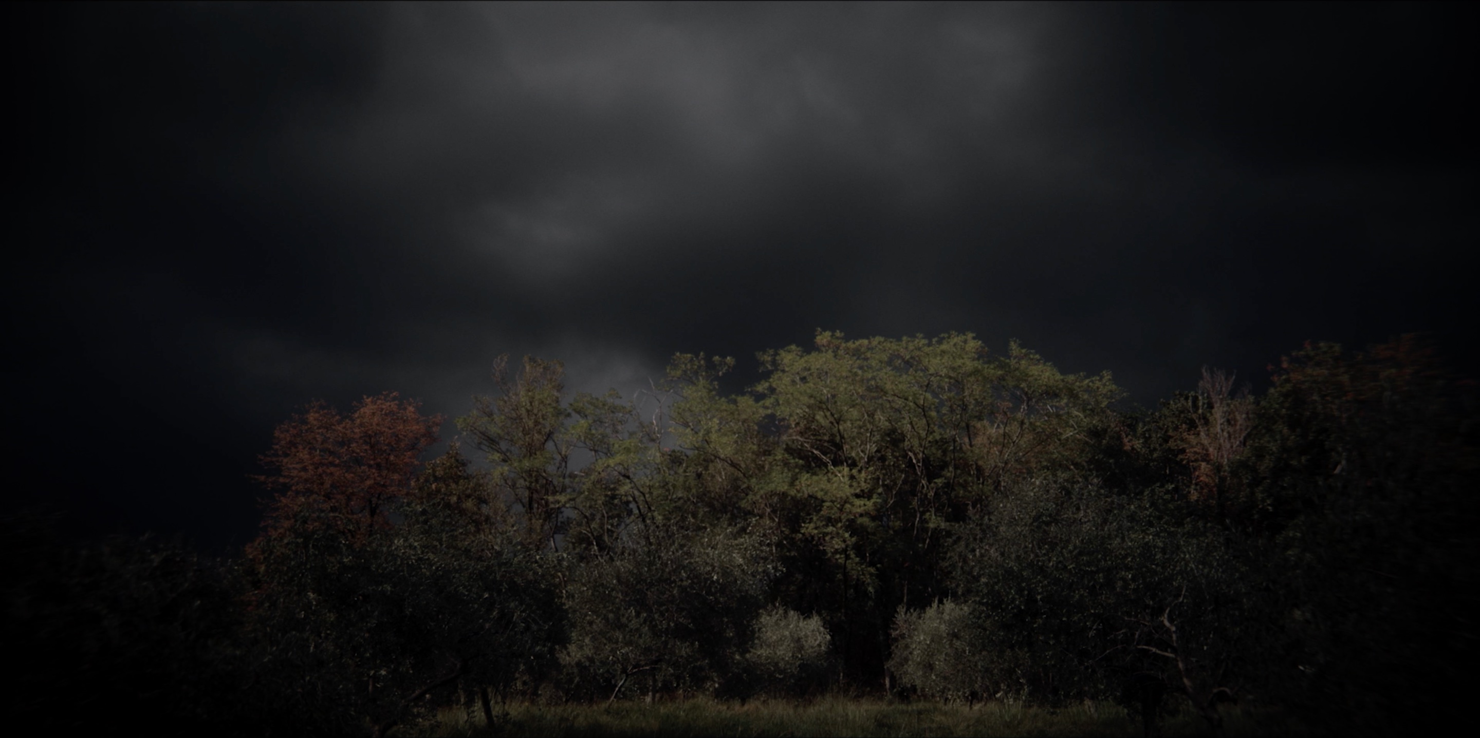 Tempesta