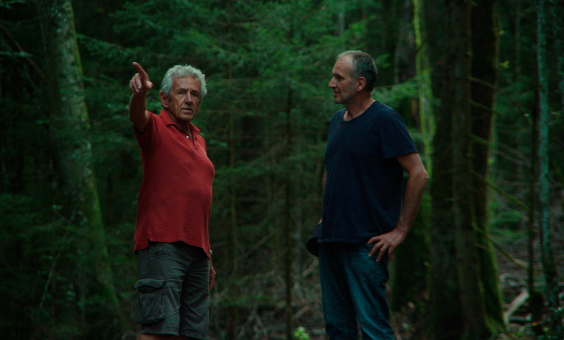 Et quand l'aube viendra