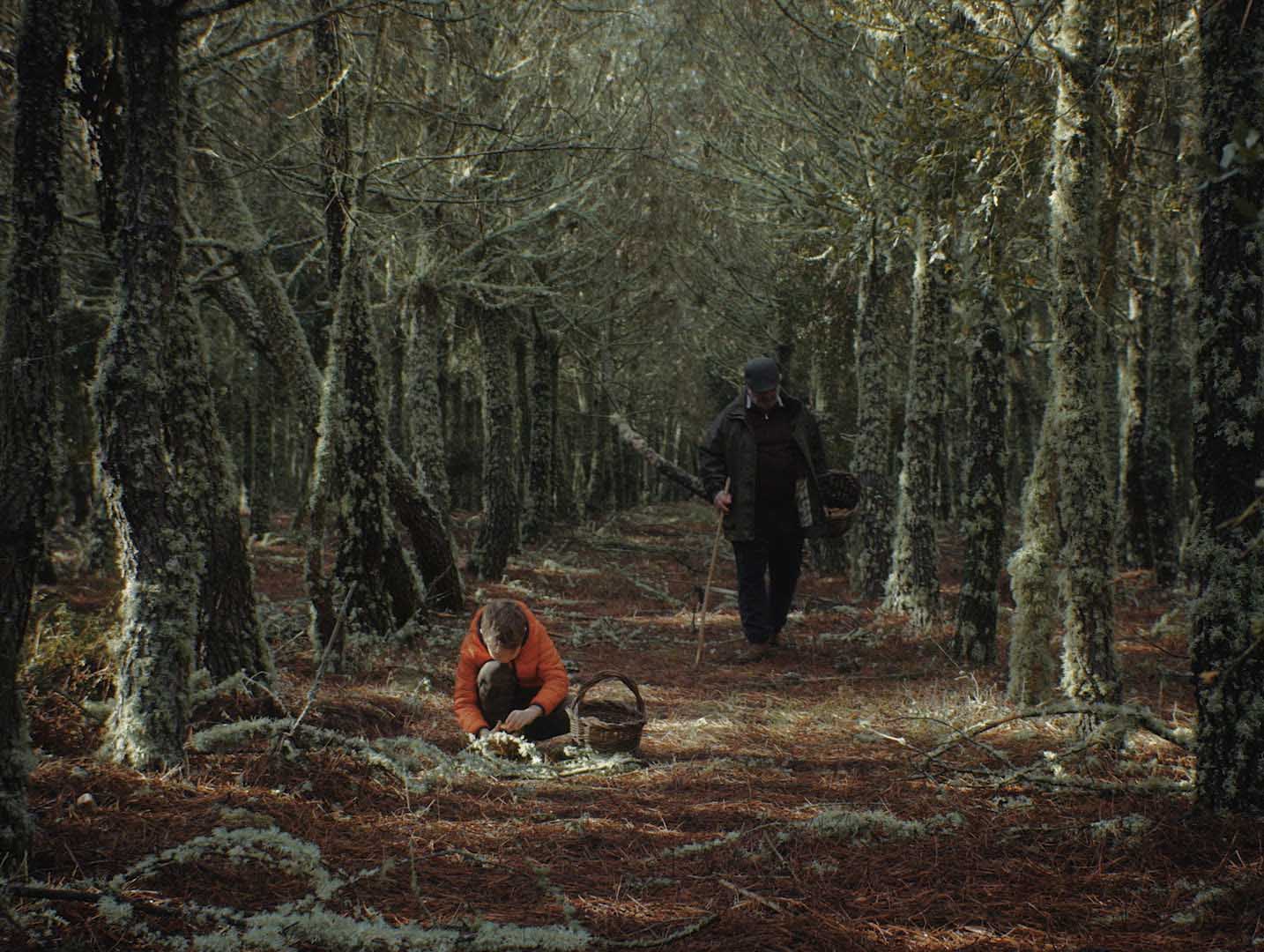 Capa de Honras La Cuonta de L Garotico I L Bielh