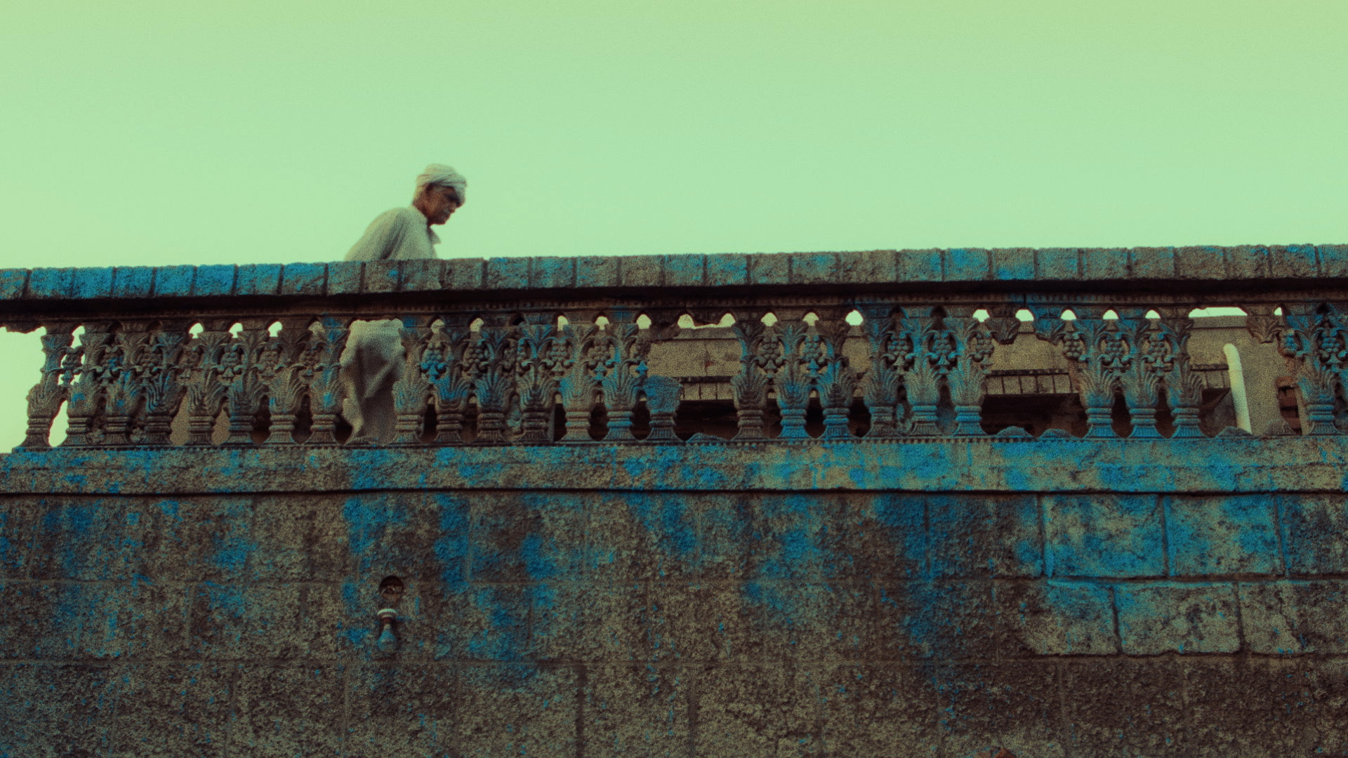 A Flight of the Lost Dreamy Bird