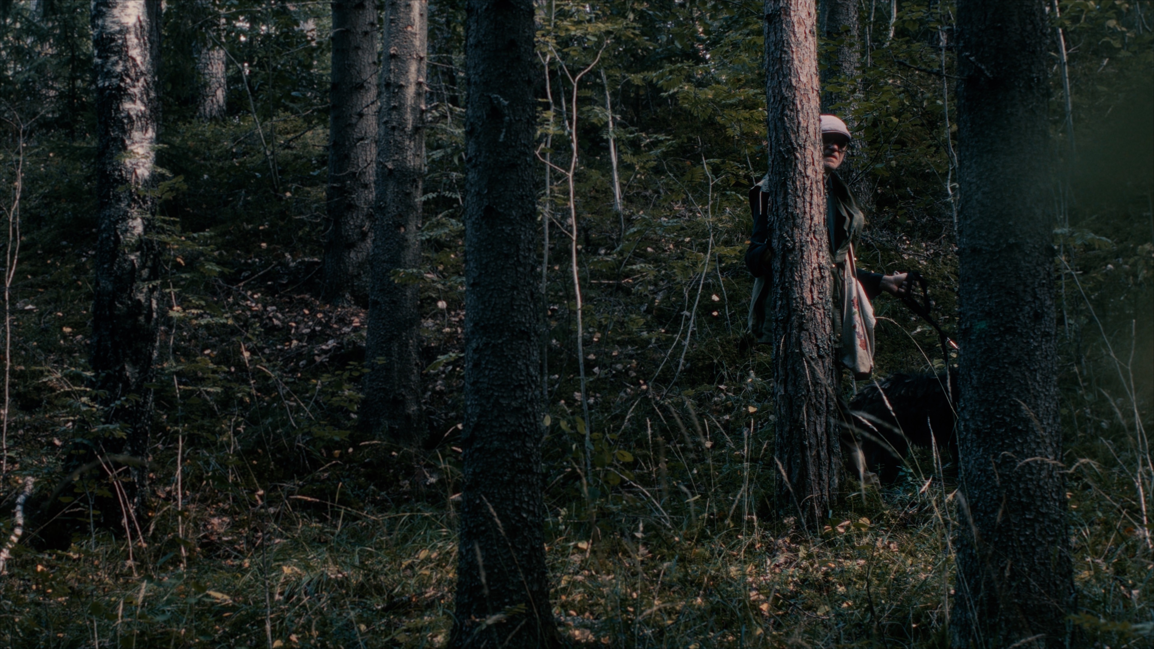 amor cortés de Mandy Flower