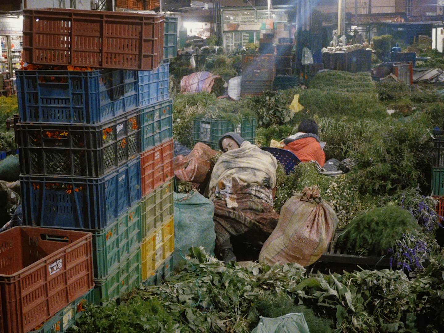 Dormidera y otros sueños democráticos