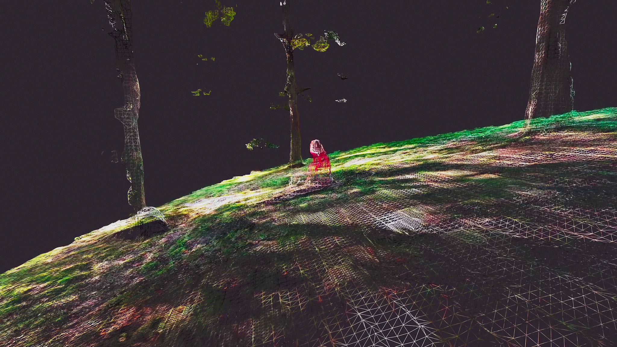 Là où naissent les ruines