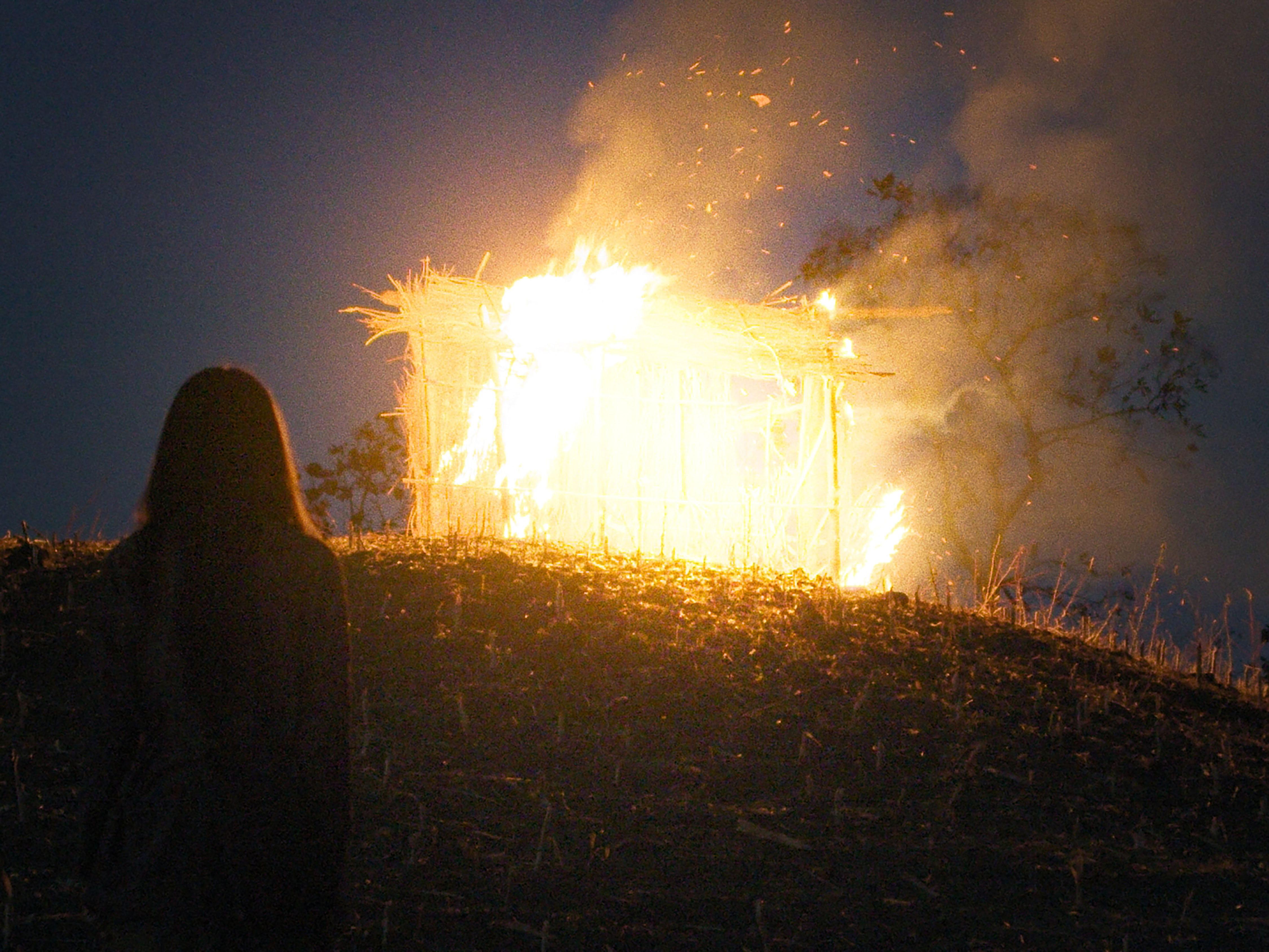 Baramasi - Daughters of the Immortal Tree