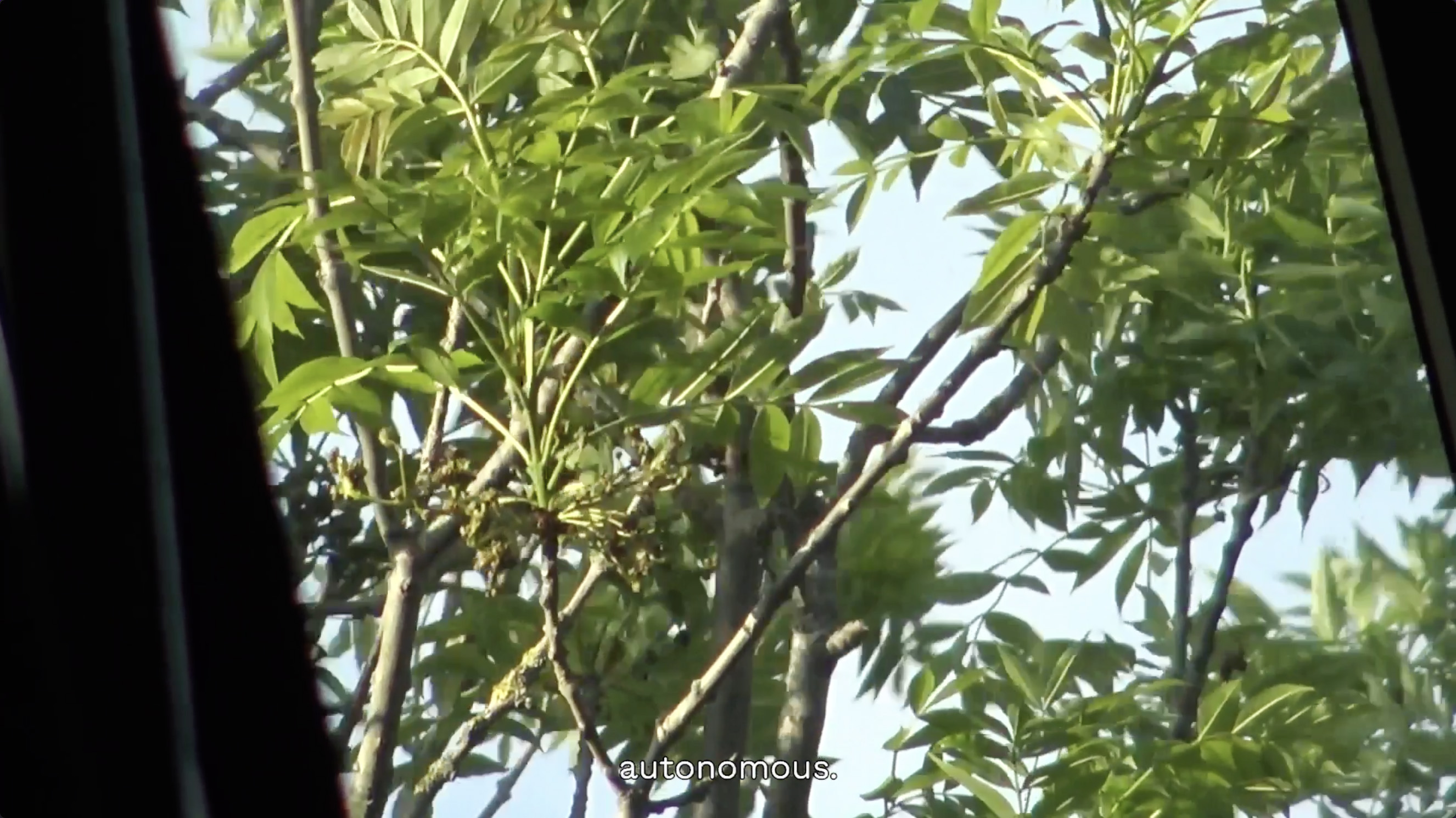 Downcast Eyes Reality TV