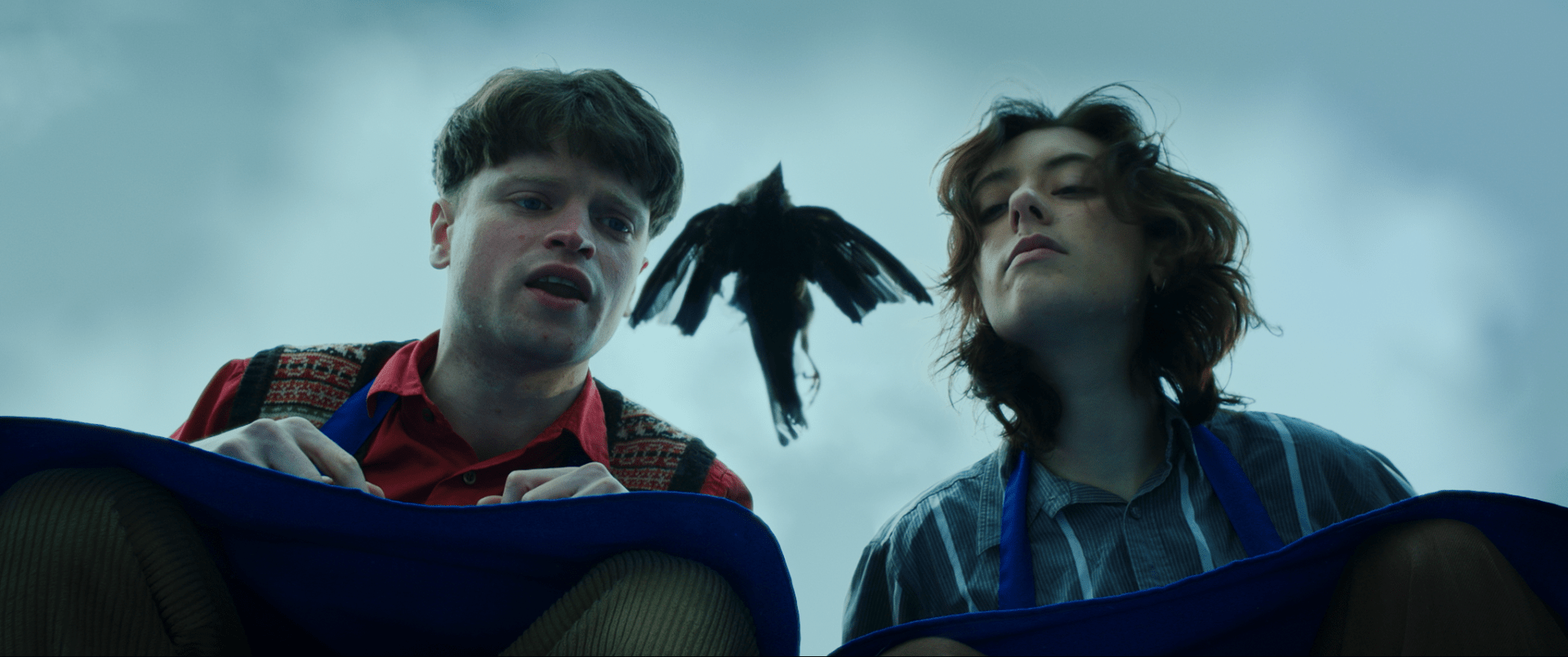 How to Skin a Cheetah