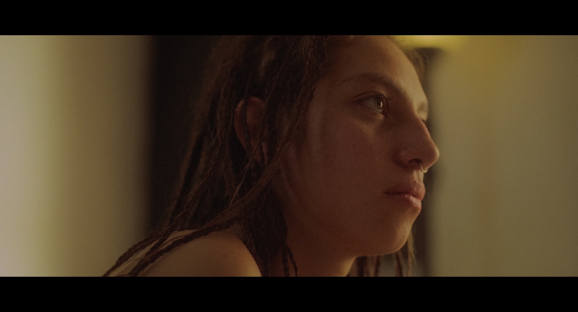 Lineas de alta tension