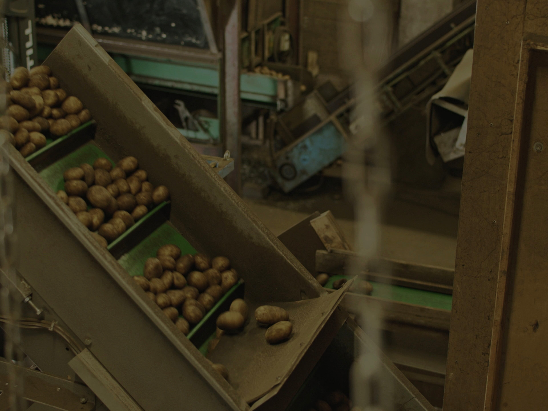 Wie lange bleibt ihr noch?