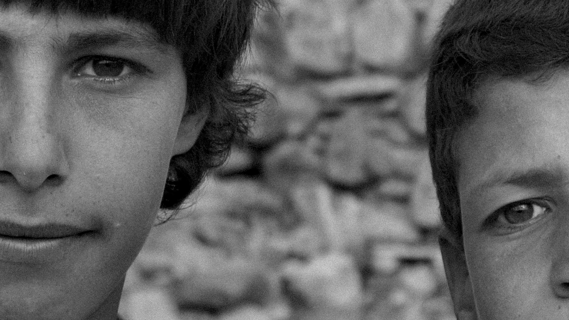 Stone Shadows (Sombras de Piedra)