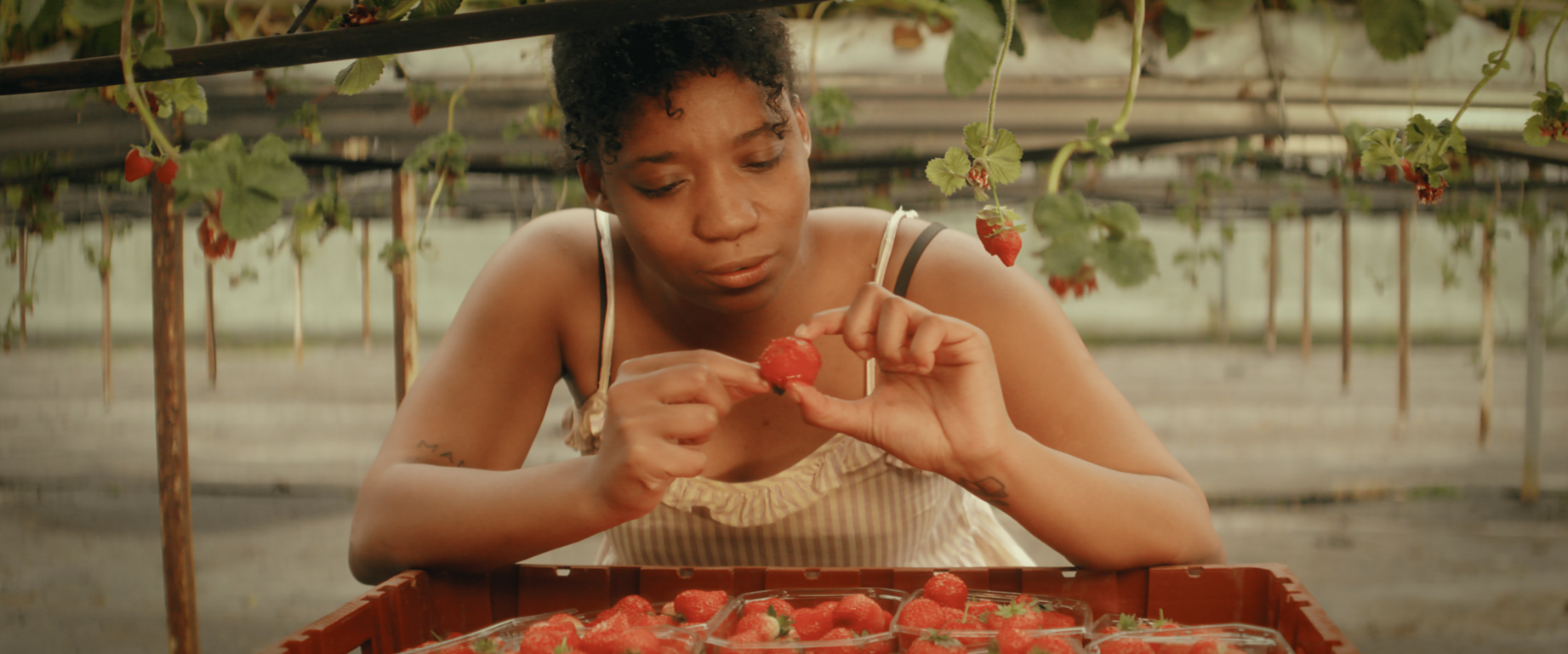Homegrown