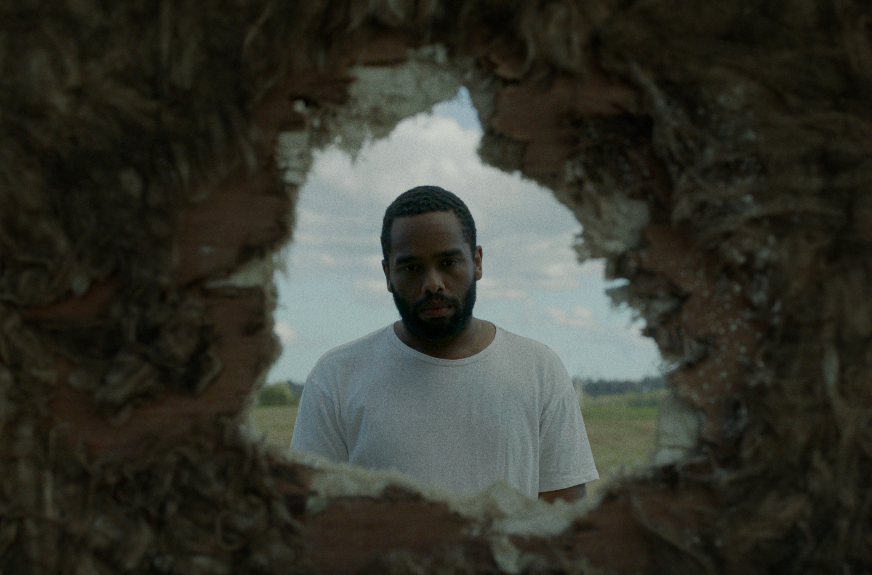 We Used To Own Houses