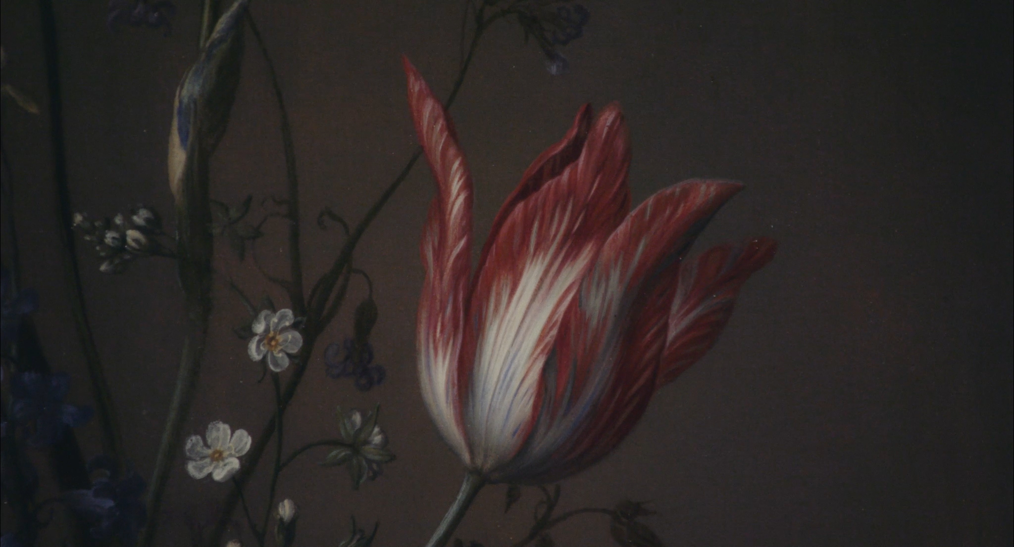 Até onde o mundo alcança