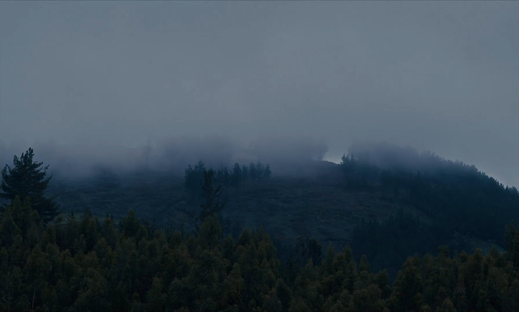 viento trae canciones del trópico