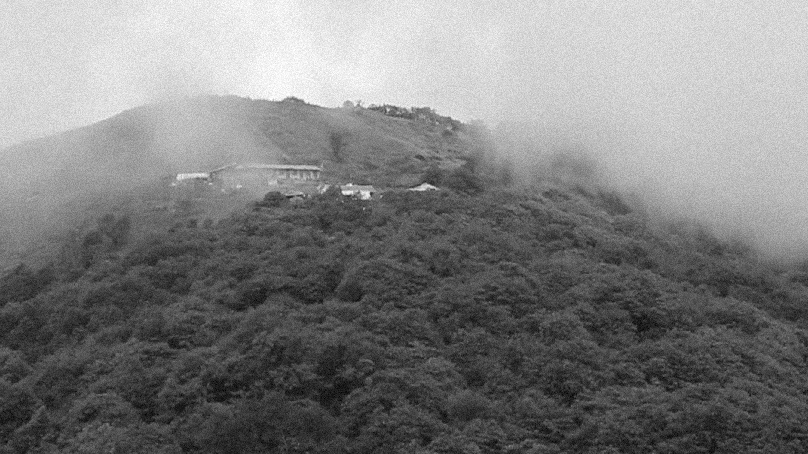 Songs of Love and Hate