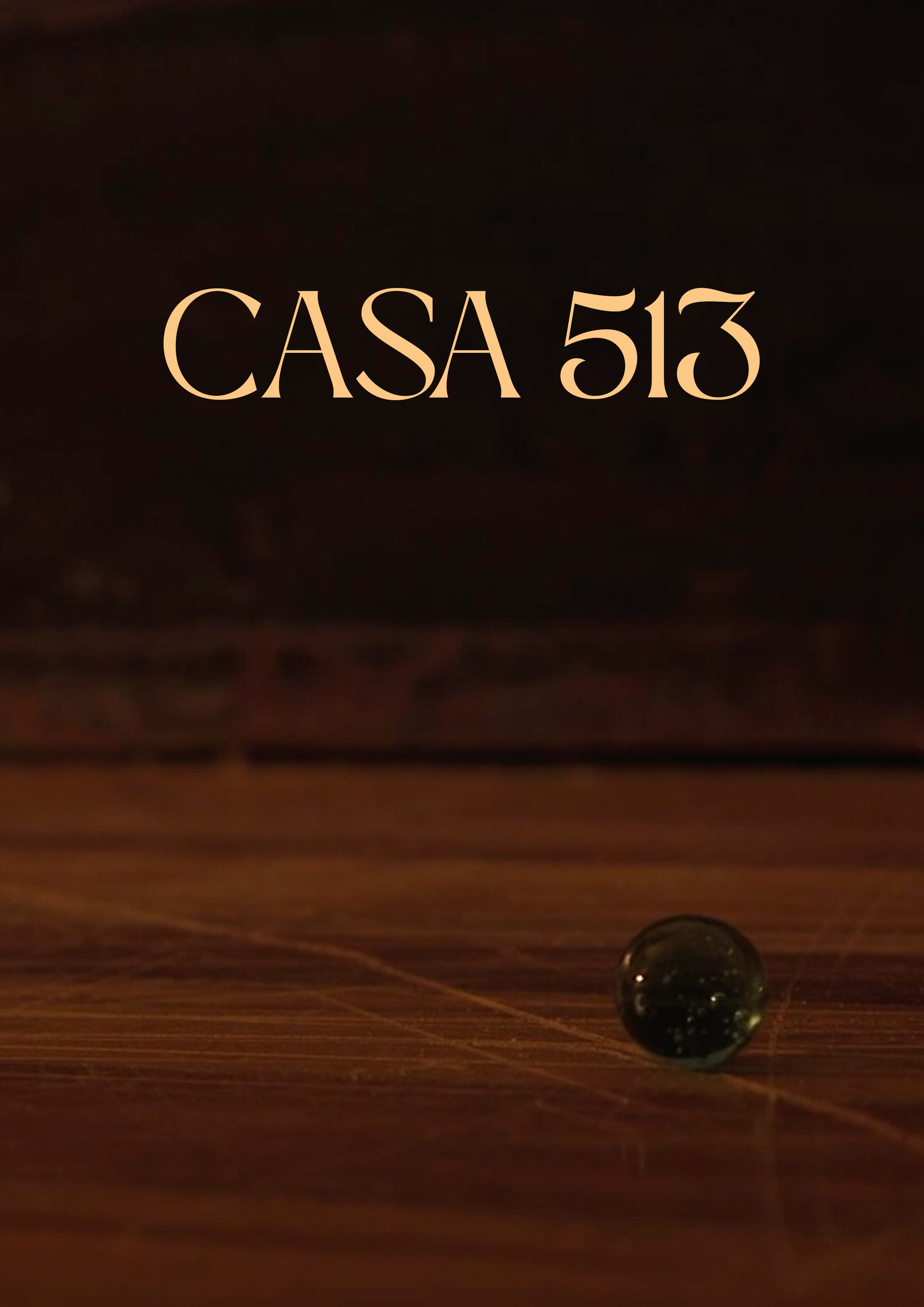 Casa 513