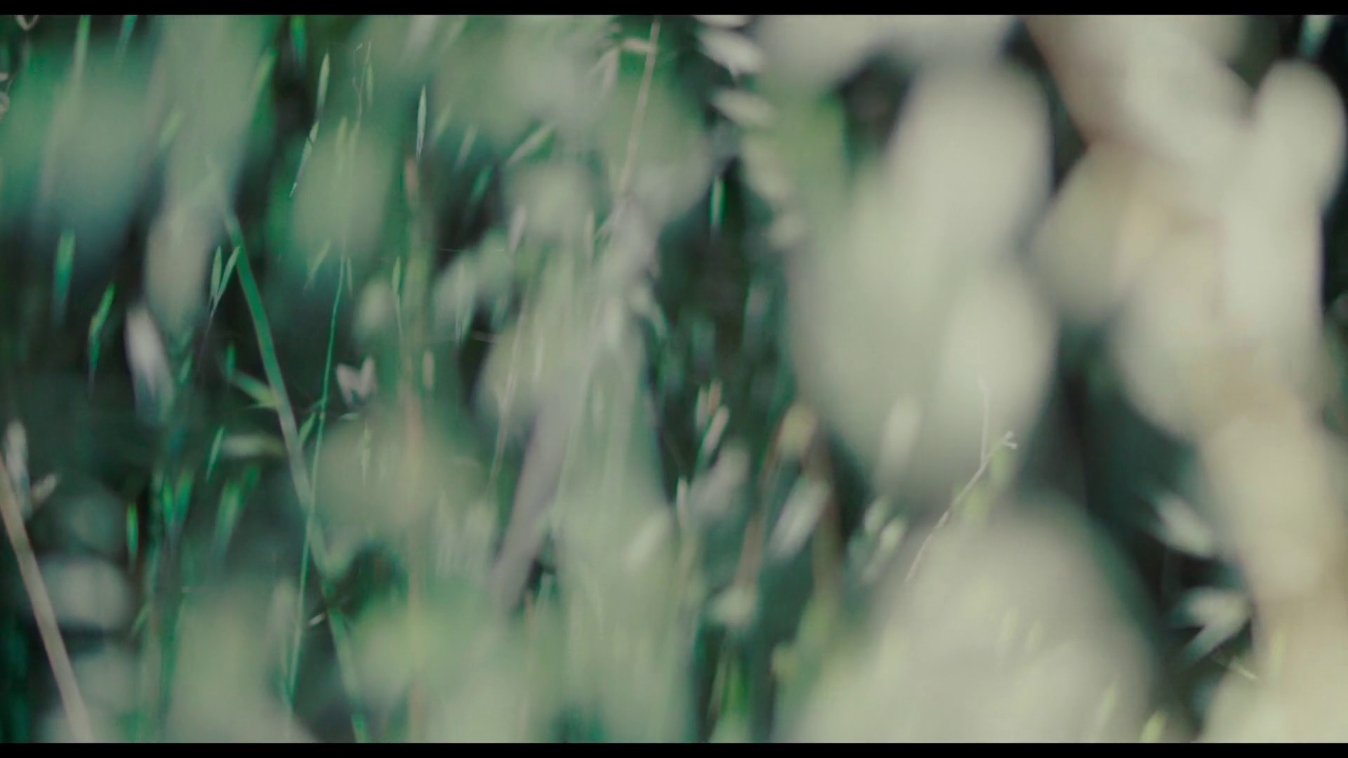 Configuración de un umbral