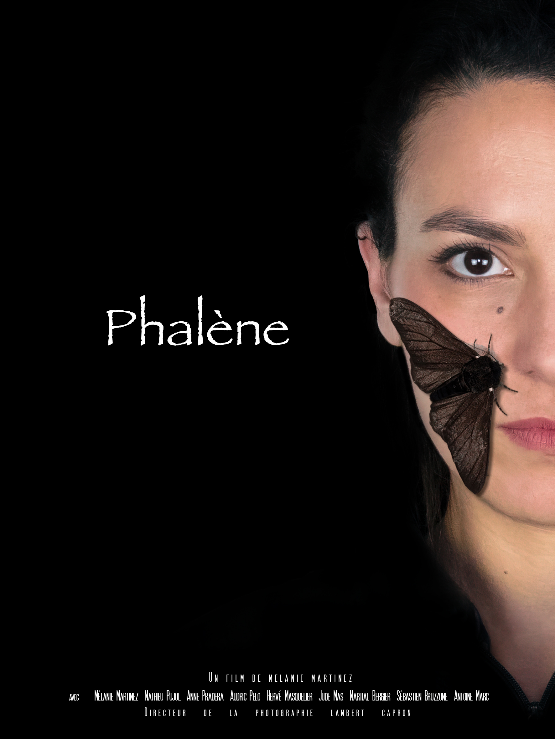 Phalène