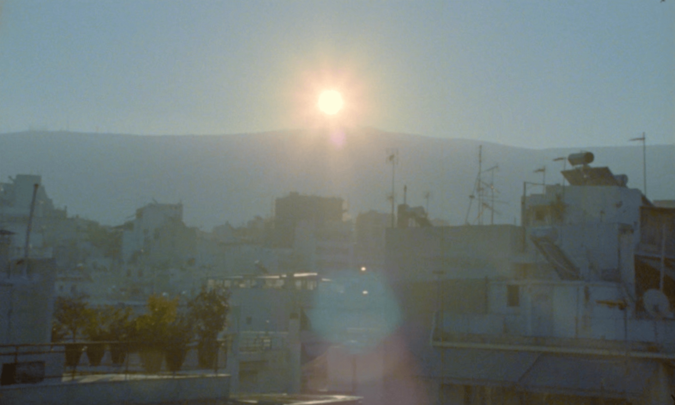 Pigeons Are Dying, When the City Is on Fire