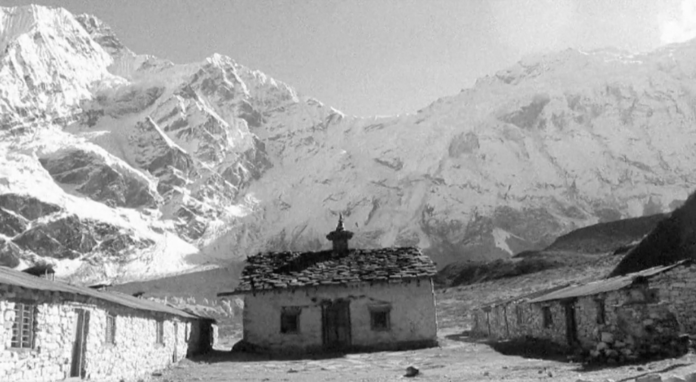 Songs of Love and Hate