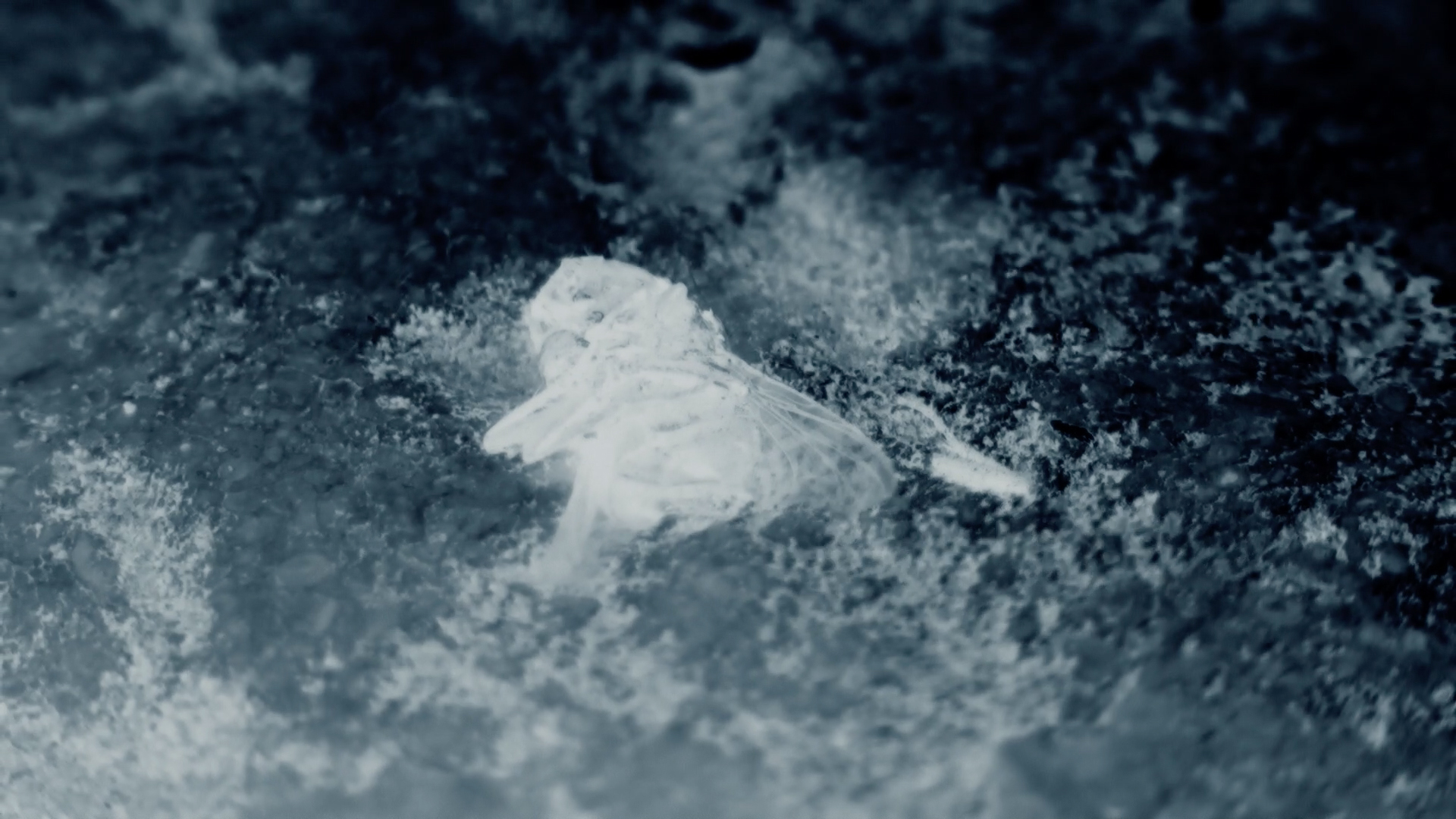 Day the World Went Away