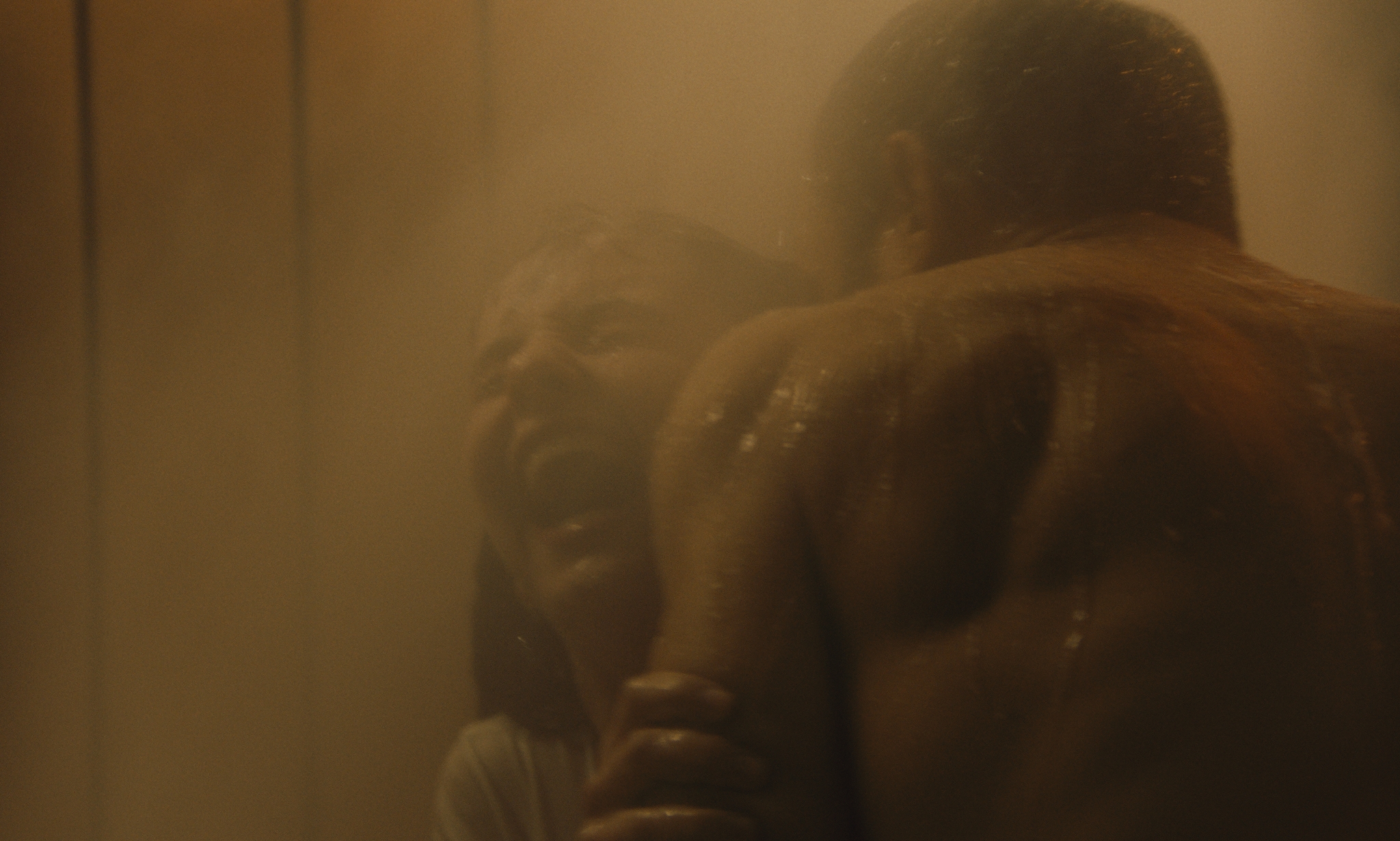 Ours ne jardinent que sous la neige