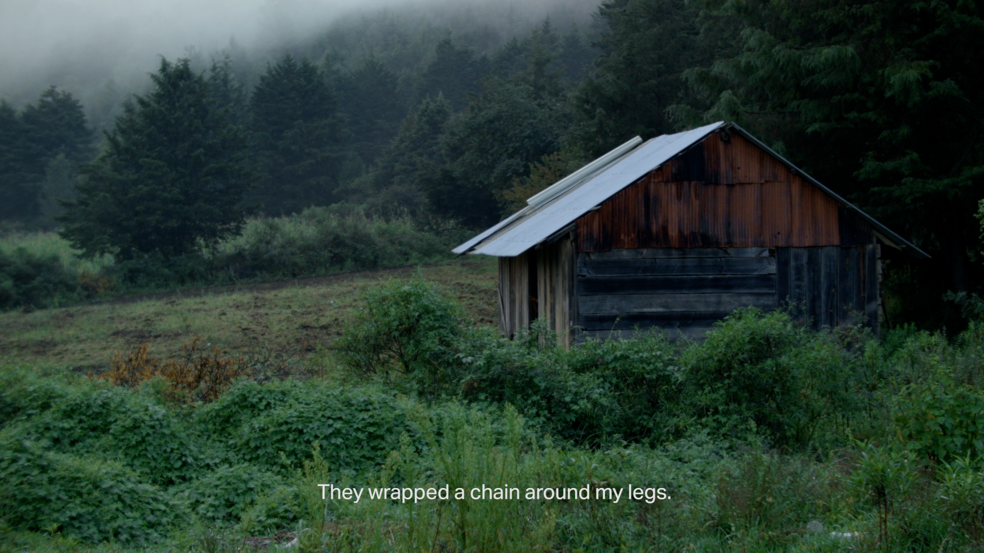 Disappearance in Three Acts | Act One