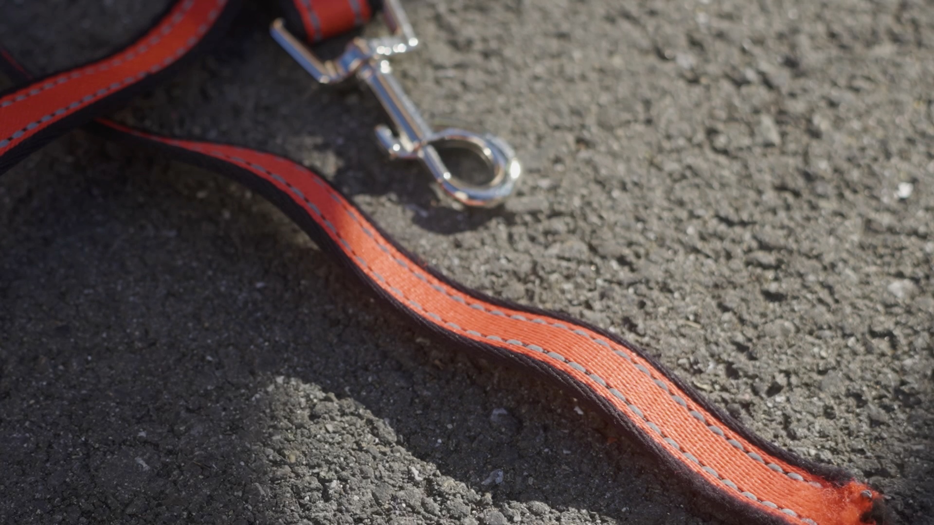 What Happened to Us on That Day