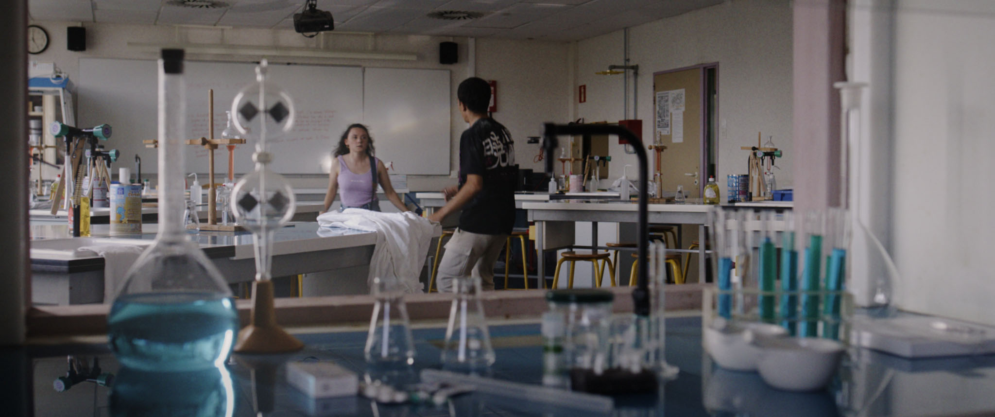 Jour où un zèbre devint tigre