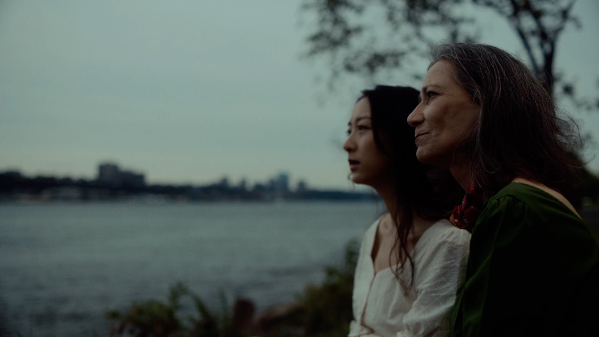 Swans of Hudson River