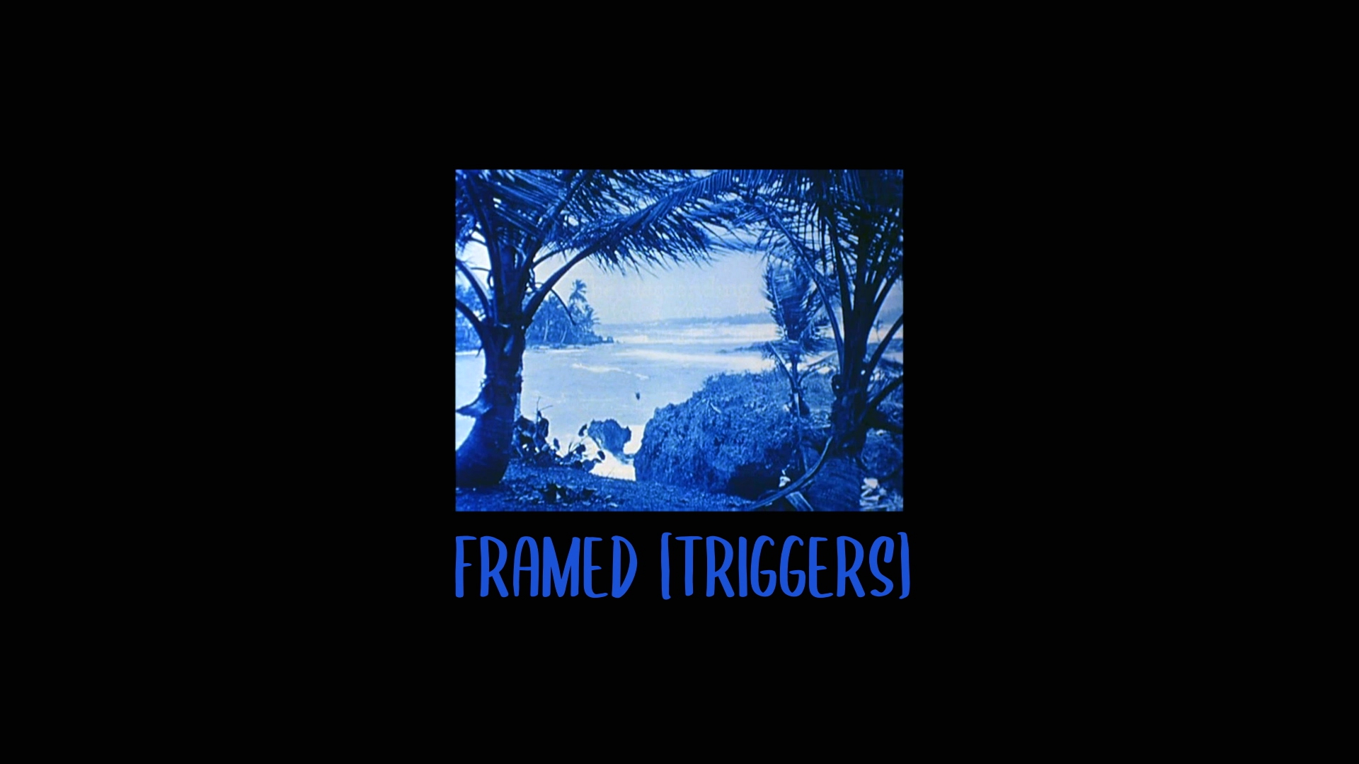 Framed Triggers.the Film