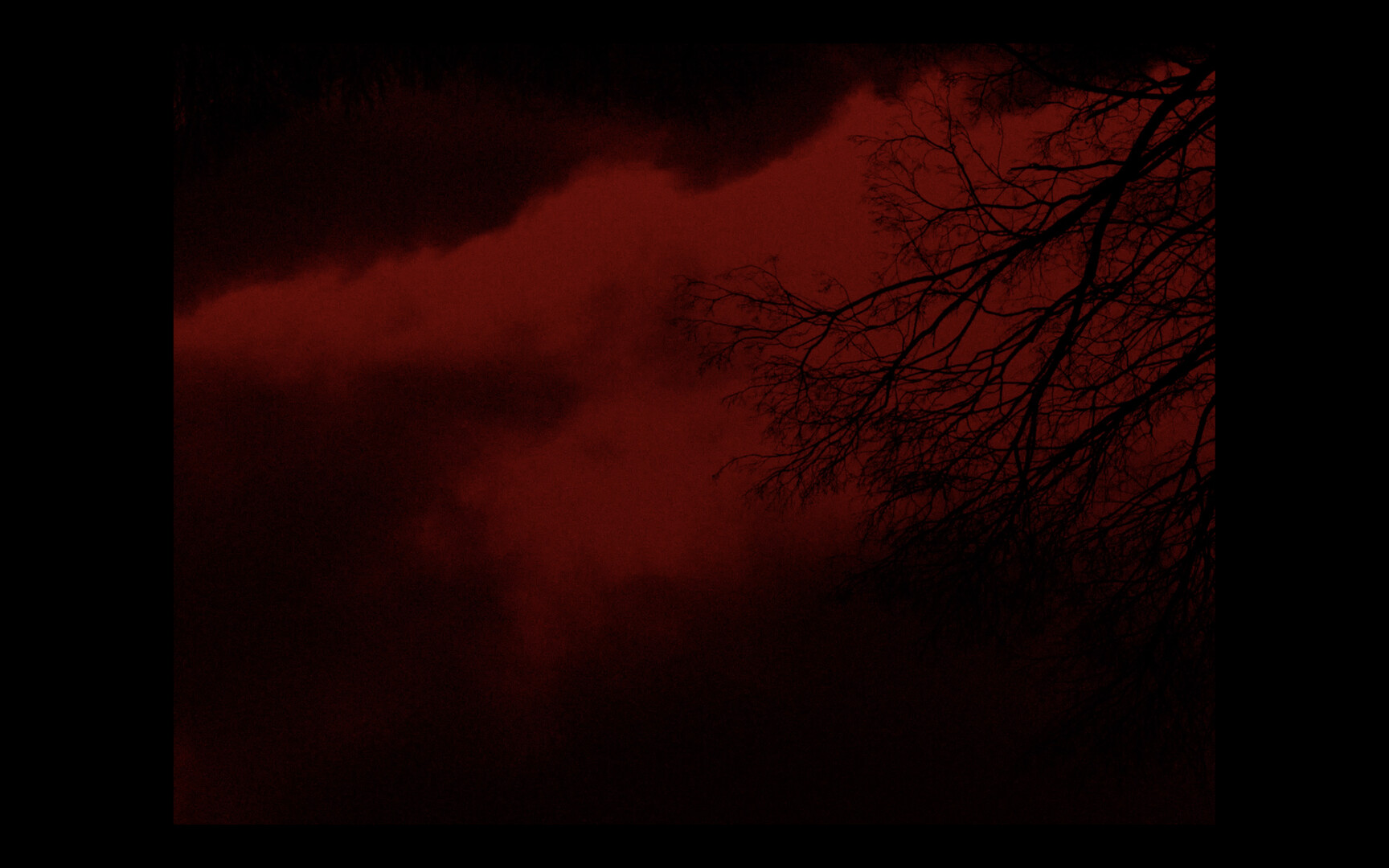 Trauma in These Walls