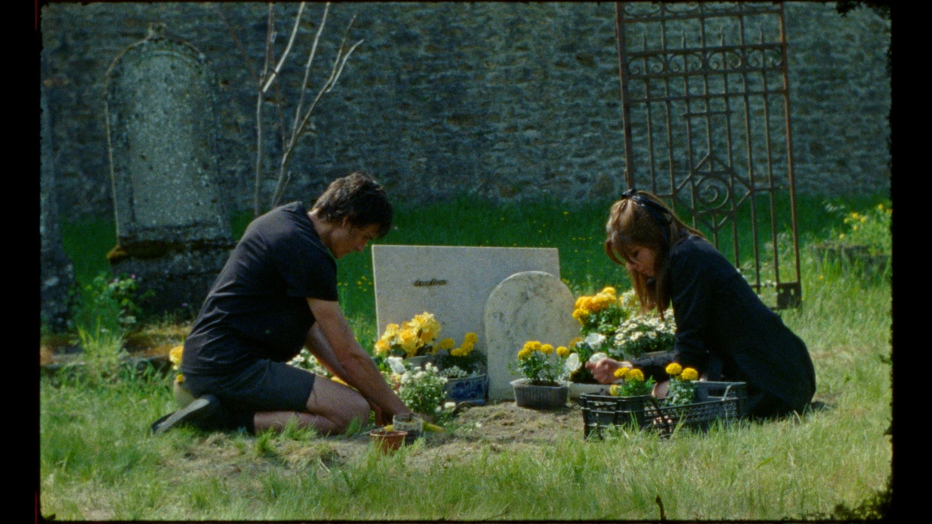 Anapidae (Appelle-moi)