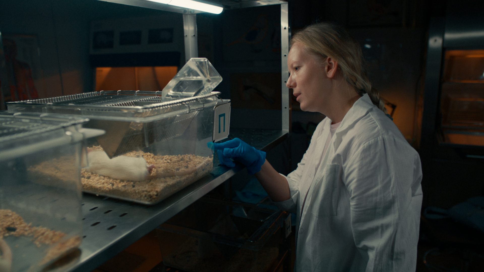 Conditional Reflexes